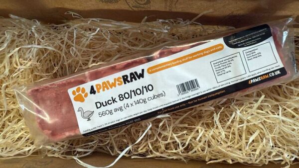 duck