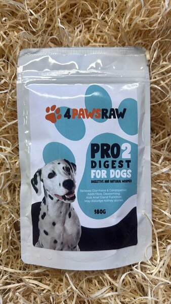 Pro 2 dog