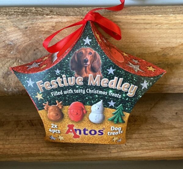 Festive Medley Box