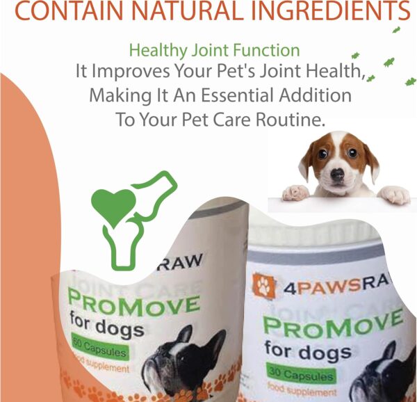ProMove - Joint Care Capsules (30's and 60's) - Image 3