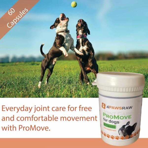 ProMove - Joint Care Capsules (30's and 60's) - Image 4