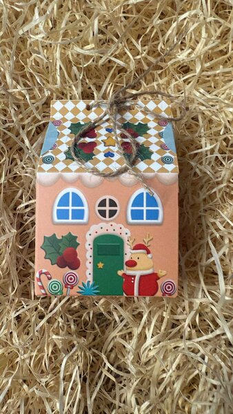 Christmas Treat Box House