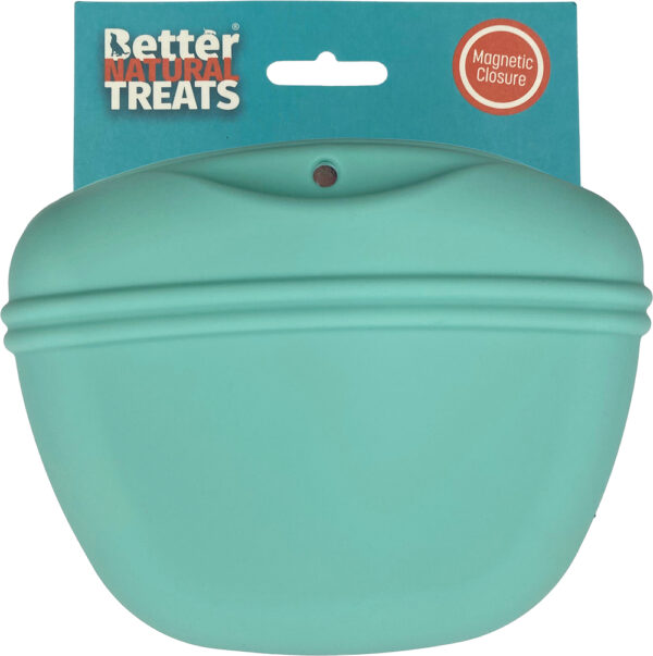treats pouch
