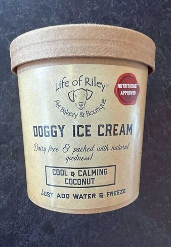Coconut ice cream