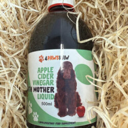 Apple Cider Vinegar for Dogs