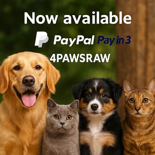 pay in 3