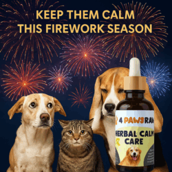 Fireworks anxiety in dogs
