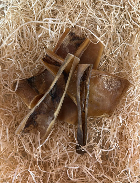 Camel skin chew for dogs