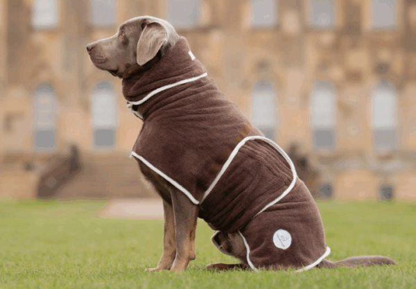 Drying robe for dogs espresso