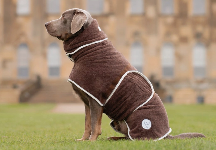 Drying robe for dogs espresso