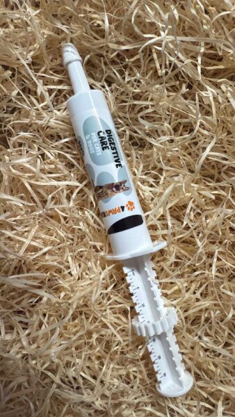 Probiotic paste